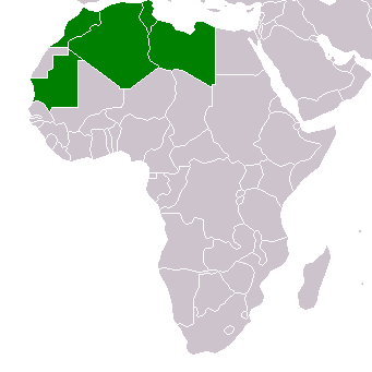 arab maghreb union